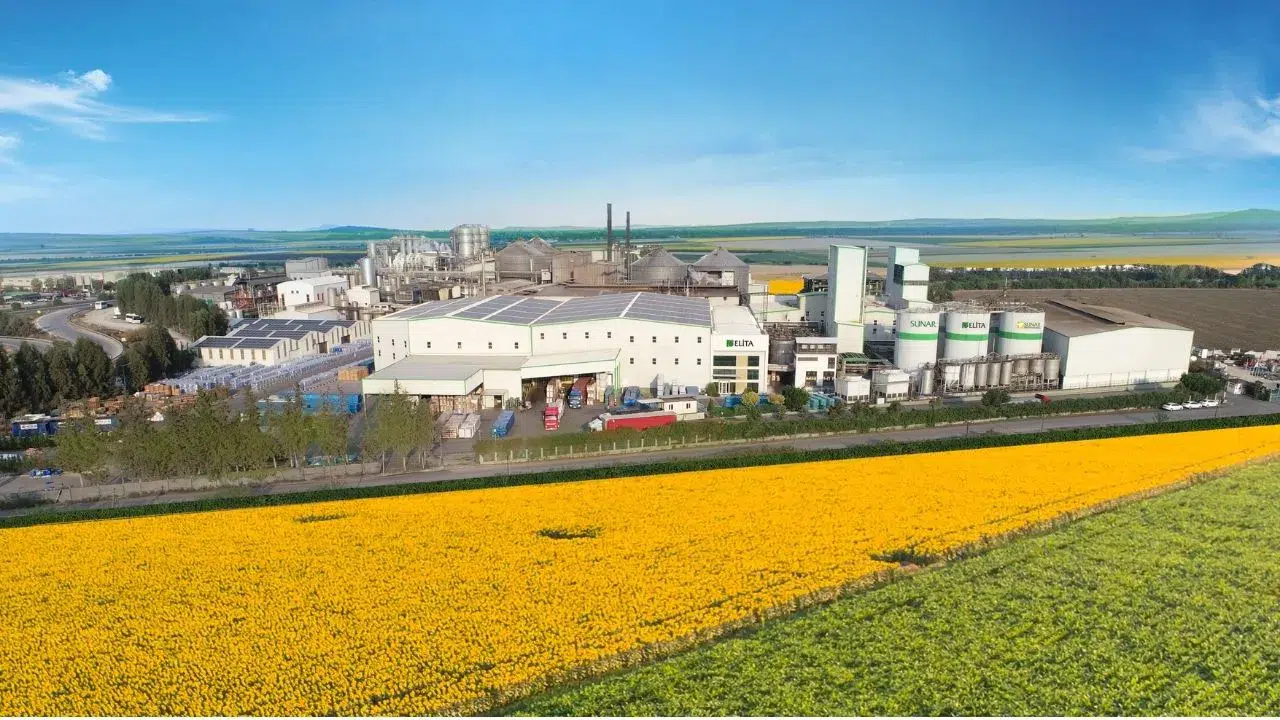 Sunar Yatırım, elektrik ihtiyacını GES'ten sağlayacak