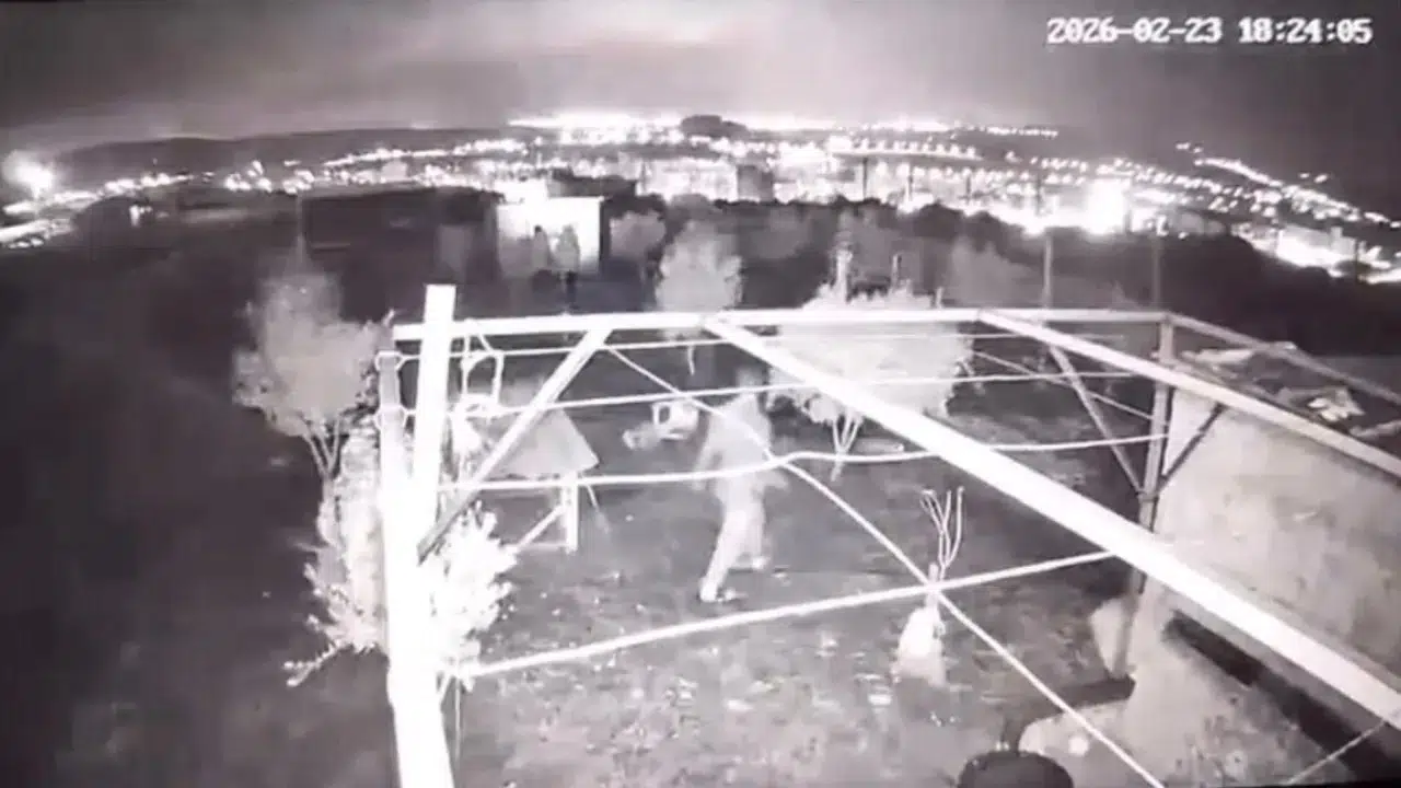 Osmaniye’de hobi bahçesine hırsız girdi : 25 güvercin çalındı