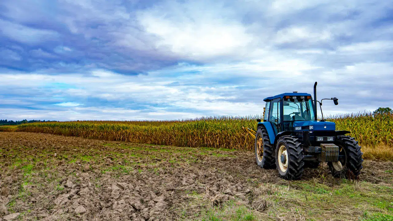 Tarım-GFE Aralık 2025’te yıllık yüzde 33,15 arttı