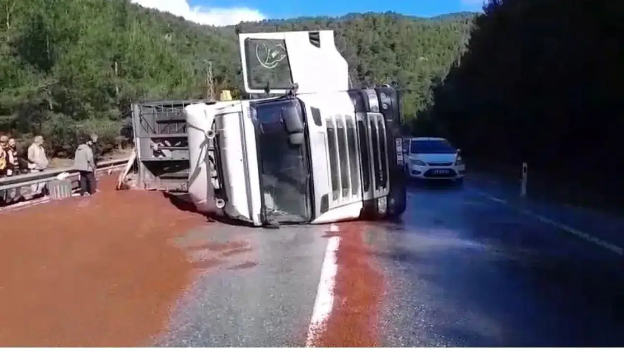 Antalya'da kaza : Peyzaj malzemeleri yüklü tır devrildi