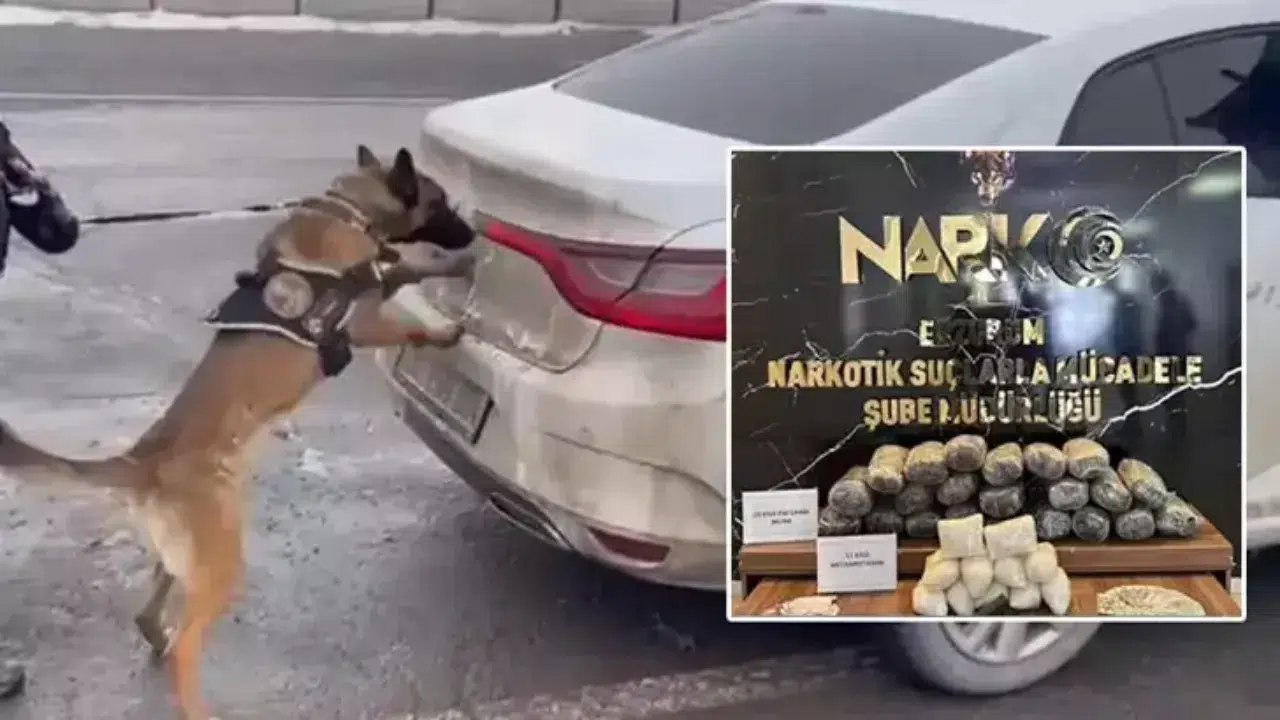 Erzurum'da otomobildeki uyuşturucuyu Hera buldu : 2 şüpheli tutuklandı