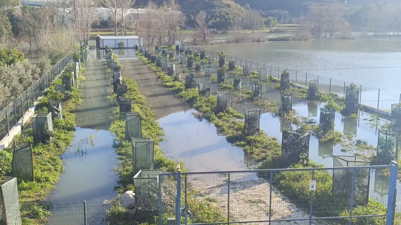 Manavgat Irmağı’nda taşkın : Antalya-Alanya otoyolu şantiyesi sular altında