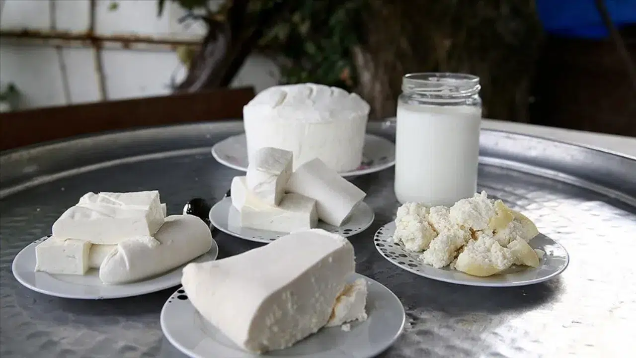 TÜİK süt ve süt ürünleri üretimi verilerini açıkladı