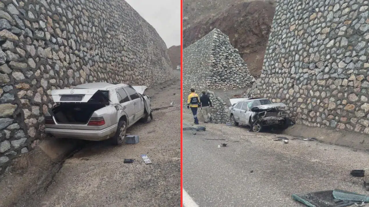 Elazığ'da otomobil istinat duvarına çarptı : Sürücü hayatını kaybetti