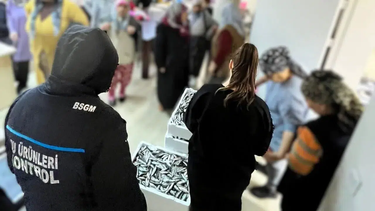 Kırklareli'nde istavrit cezası : Asgari boyun altındaki balıklar ihtiyaç sahiplerine ulaştırıldı