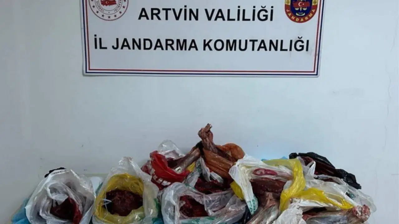 Artvin Kemalpaşa'da 60 kilo yaban domuzu eti ele geçirildi