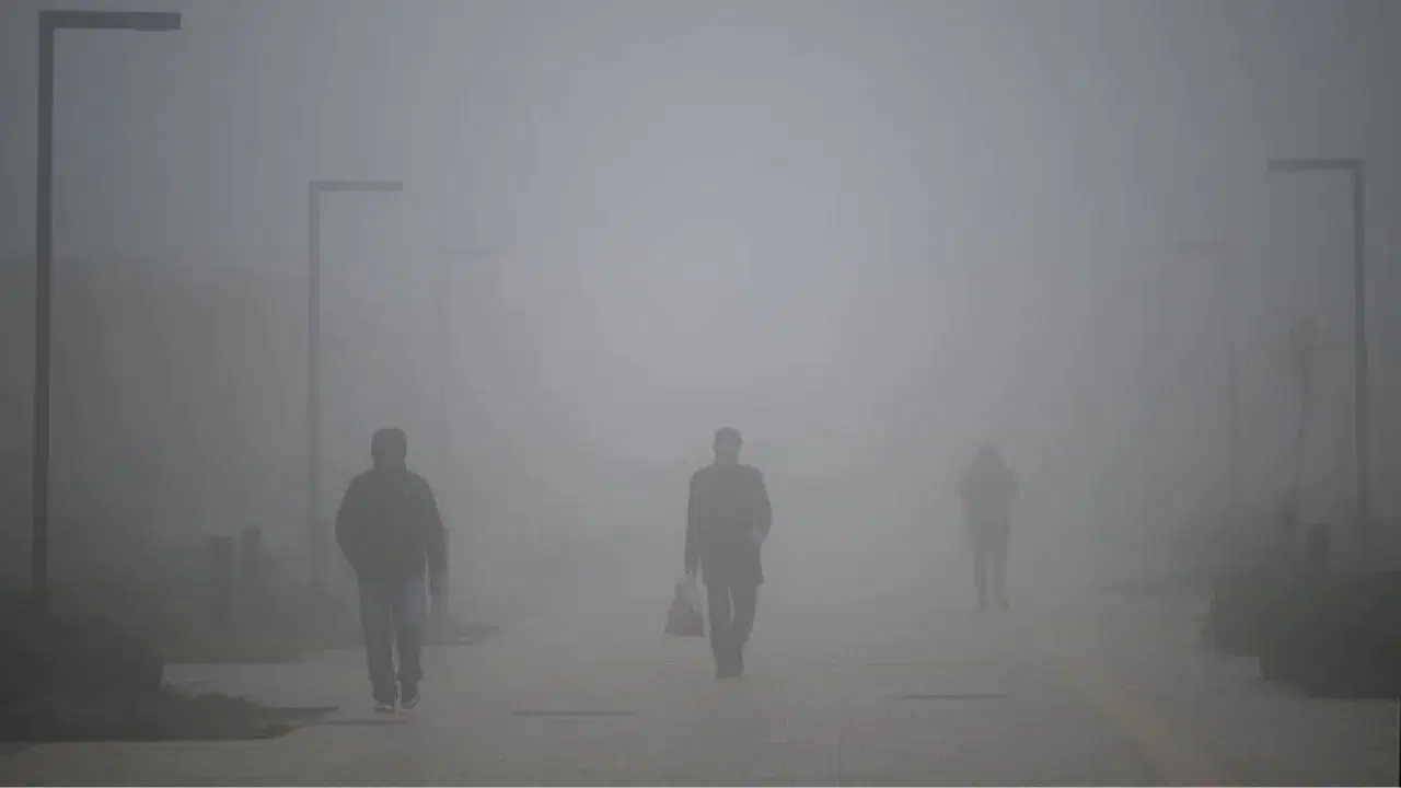Hakkari'de sis etkili oldu : Görüş mesafesi sıfıra indi