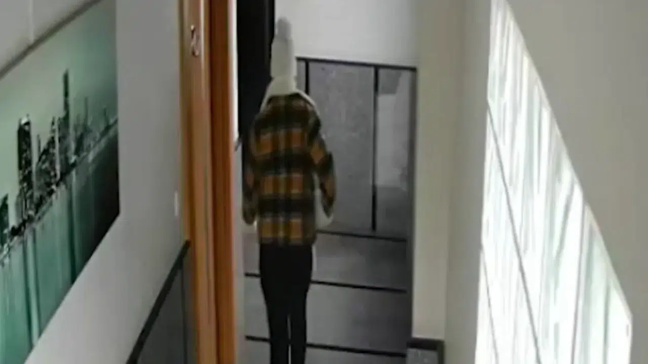 Maltepe’de iki binada hırsızlık girişimi : 3 zanlı tutuklandı