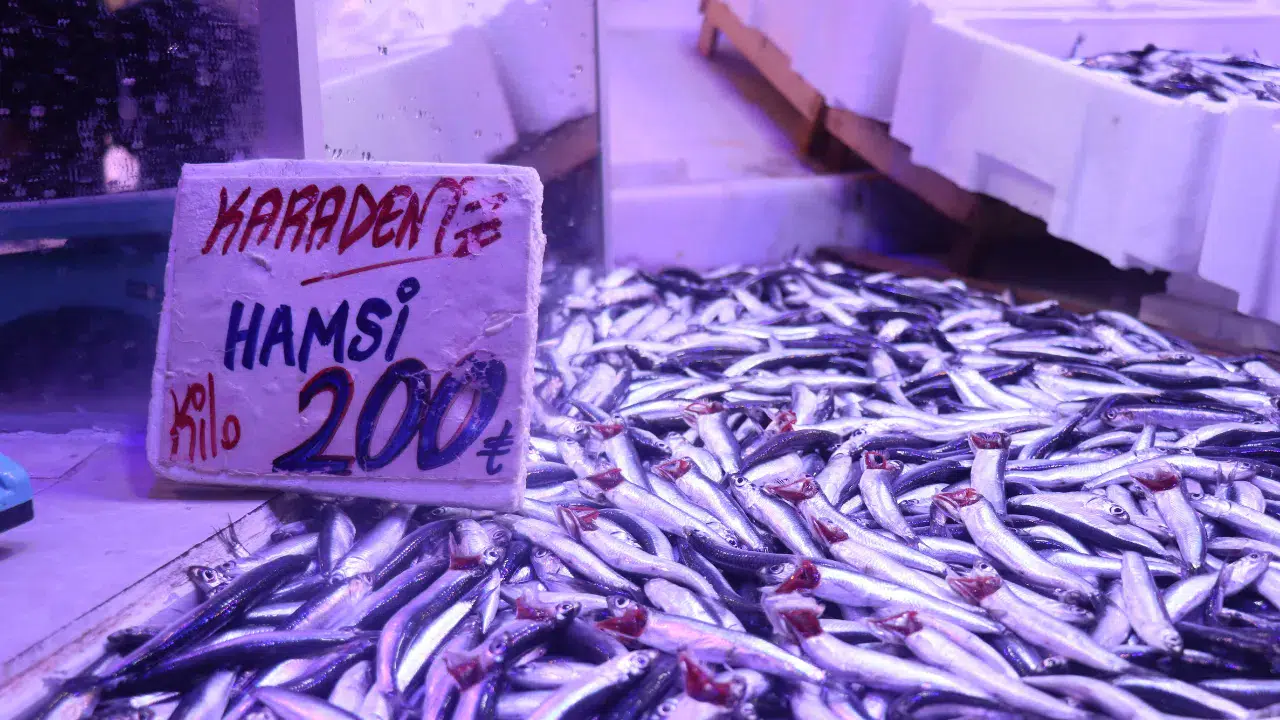 Havalar soğudu, balık tezgahları hamsiyle doldu
