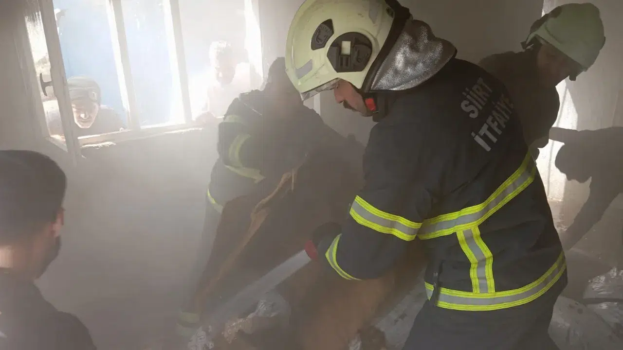 Siirt'te yangın : Alevler ceviz kabuklarına sıçradı