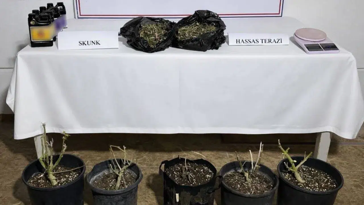 Antalya'da uyuşturucu operasyonu : 243 gram madde ele geçirildi