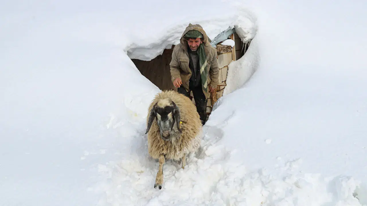 Van, Hakkari ve Bitlis'te kar esareti : 103 yerleşim yerine ulaşım sağlanamıyor
