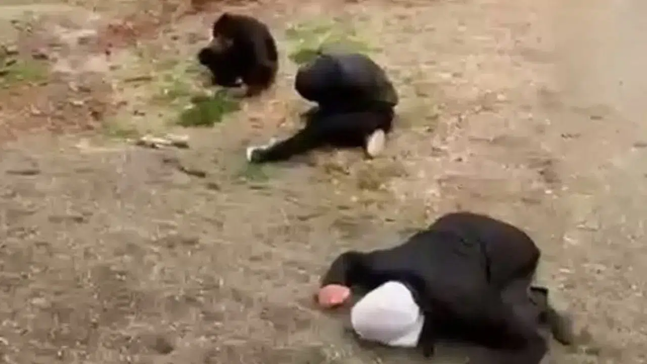 Adıyaman’da madde etkisindeki 3 kişi yere yığıldı