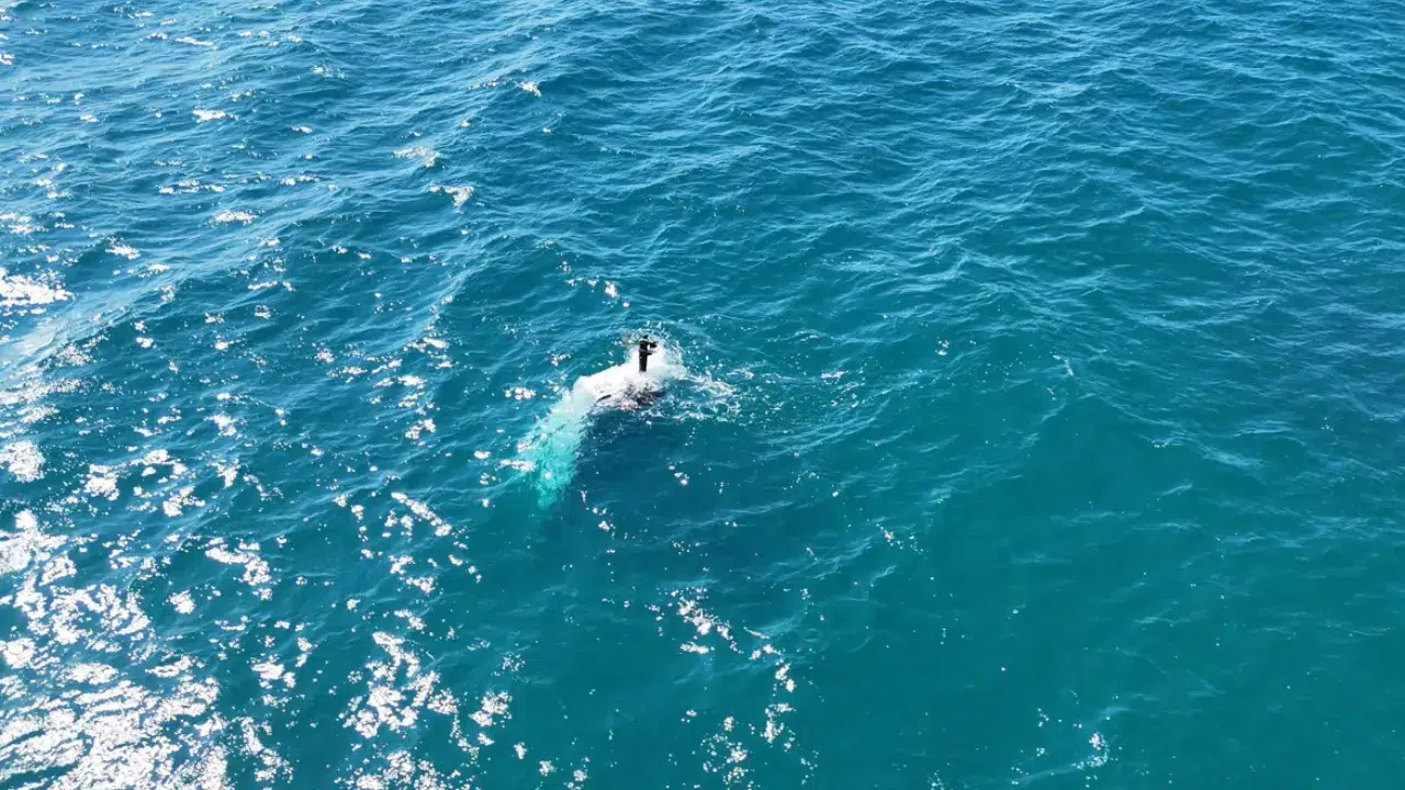 Antalya 'da balıkçı teknesi battı : 3 kişi son anda kurtuldu