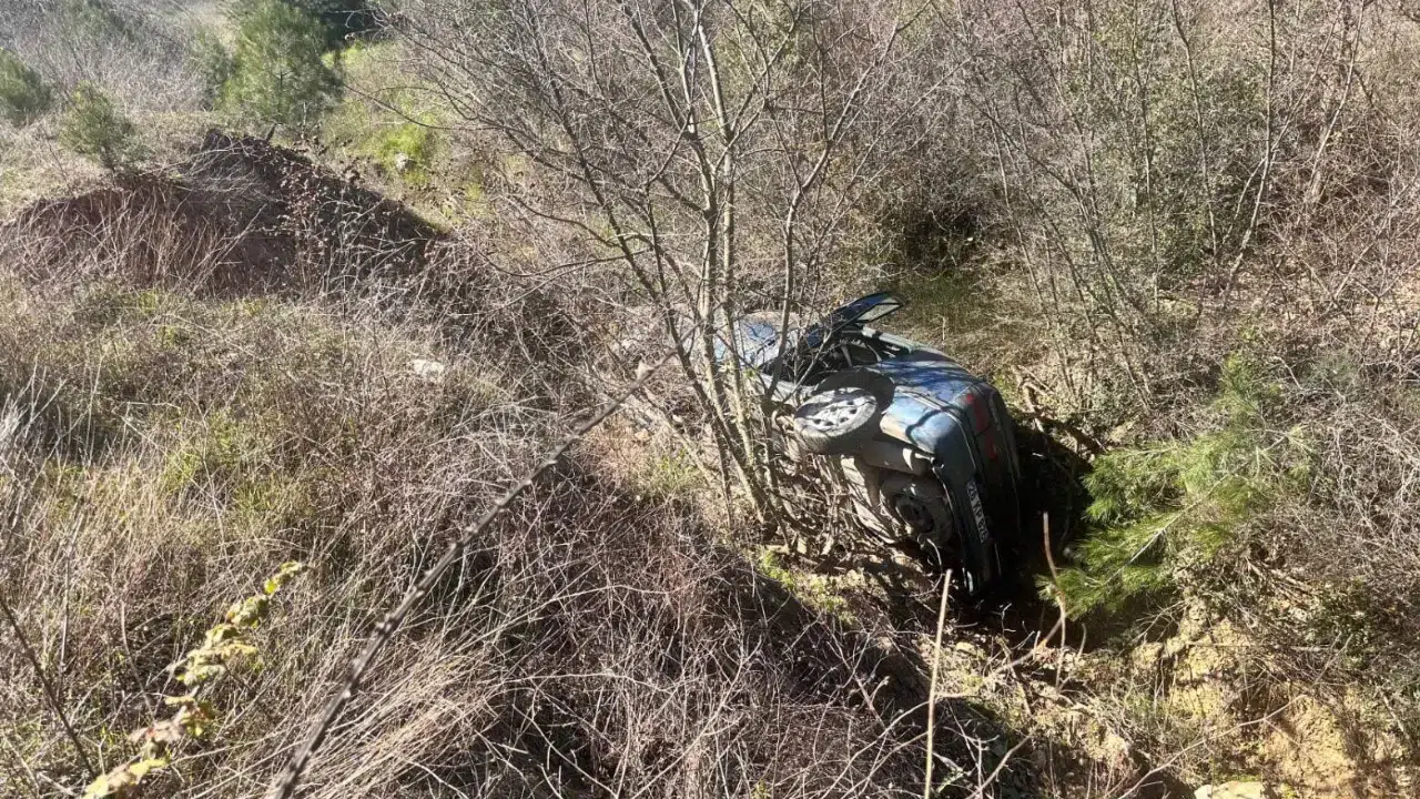 Bilecik'te otomobil dereye uçtu : Sürücü yaralandı