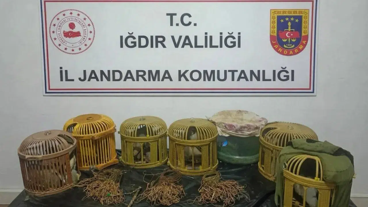Iğdır'da kaçak keklik avcılarına rekor ceza : 175 bin TL para cezası