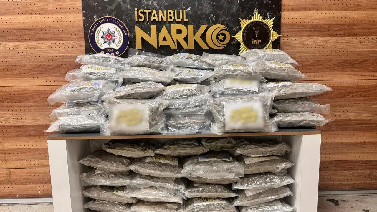 İstanbul Tuzla'da 51 kilo skunk ele geçirildi