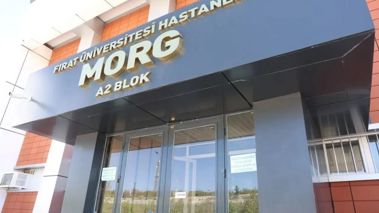 Elazığ'da arazi kavgası kanlı bitti : Yeğeni tarafından darbedilen amca öldü