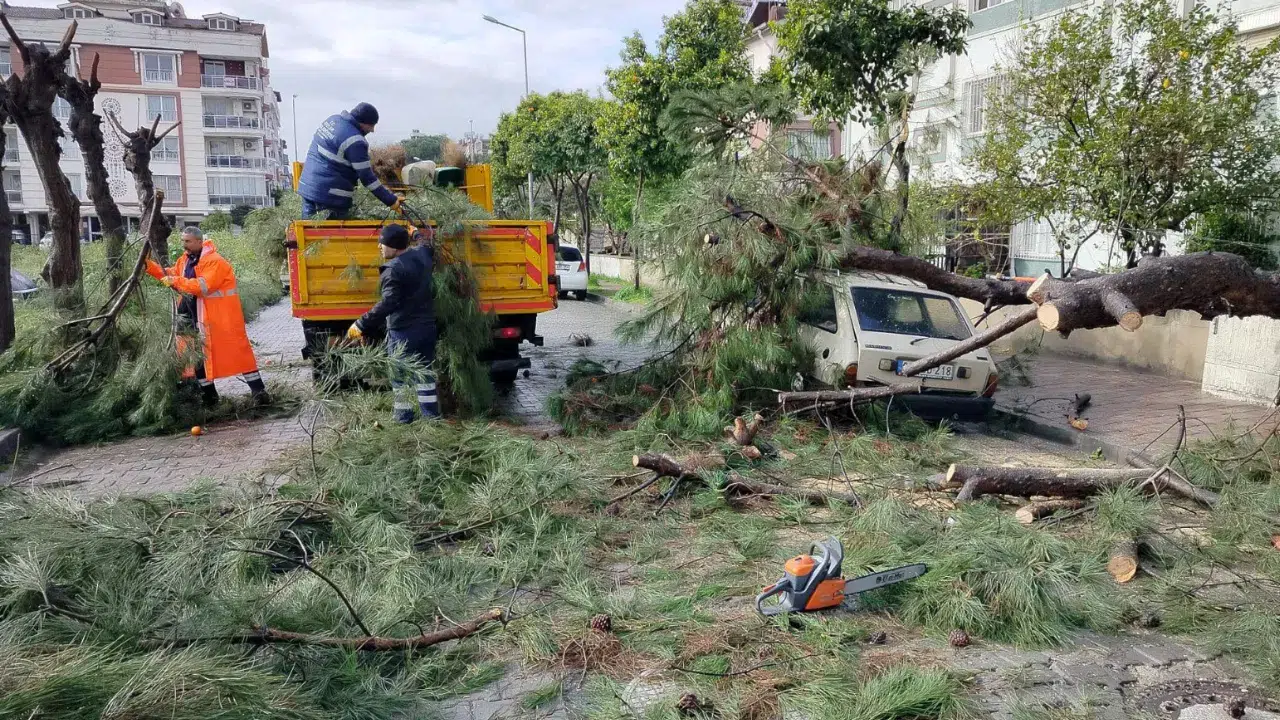 Aydın Efeler'de fırtına : Ağaç, park halindeki ara…