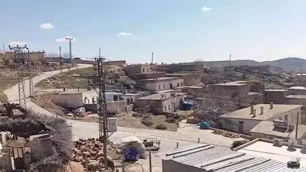 Mardin Ömerli’de kuduz şüphesi : Bir mahalle karantinaya alındı