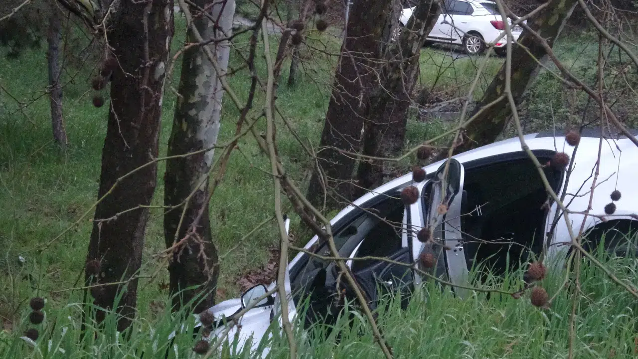 Pendik'te kaza : Sürücü virajı alamayıp ağaçlık alana girdi