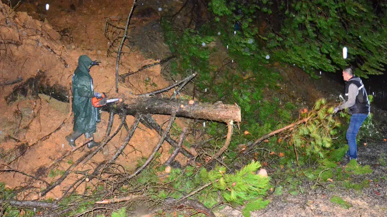 Manisa'da şiddetli yağışlar ağaçları devirdi
