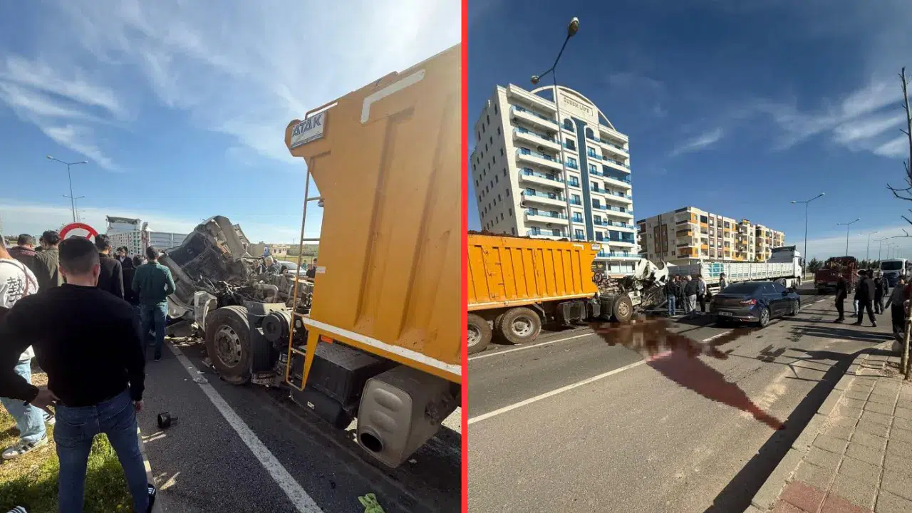 Mardin'de tırla çarpışan kamyon sürücü ağır yaralandı