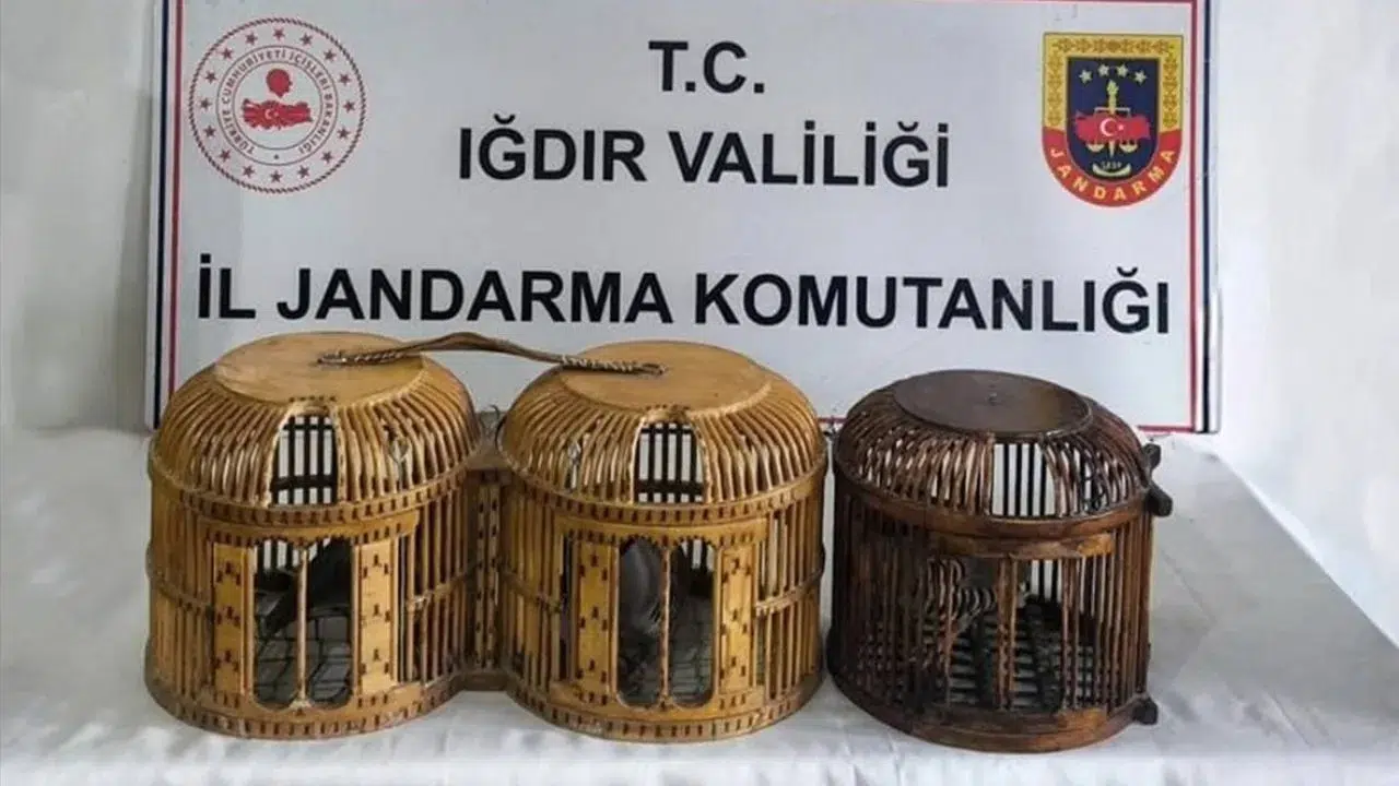 Iğdır'da kaçak keklik avlayan 3 şüpheliye rekor ceza