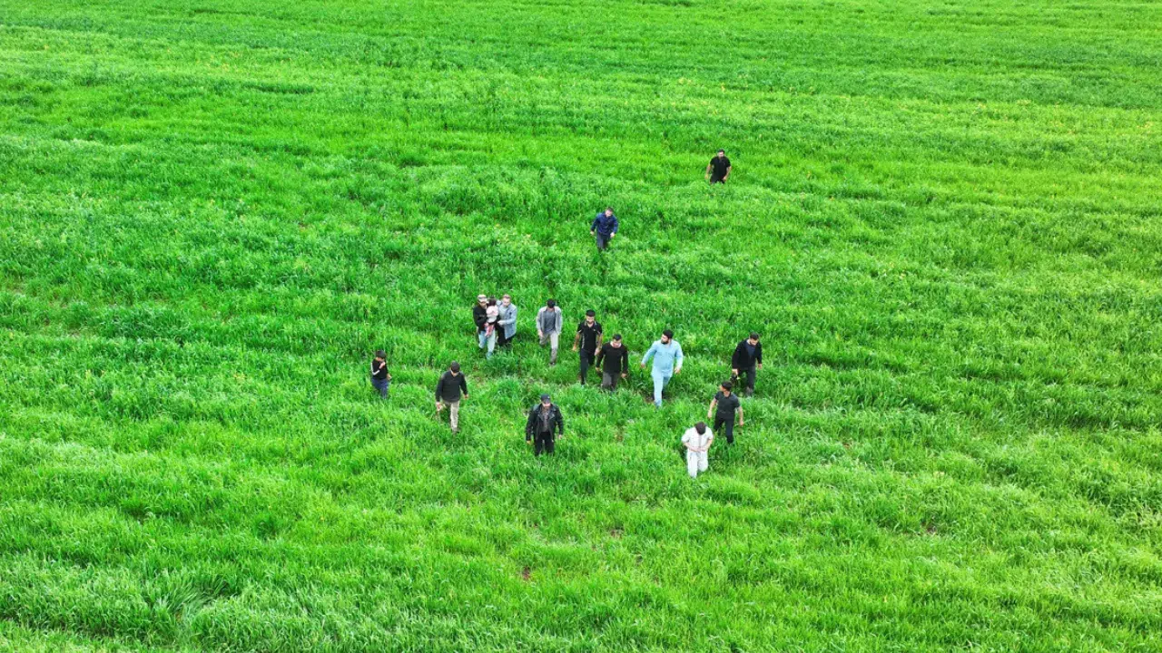 Diyarbakır'da kaybolan 3 yaşındaki Yazgül tarlada uyurken bulundu