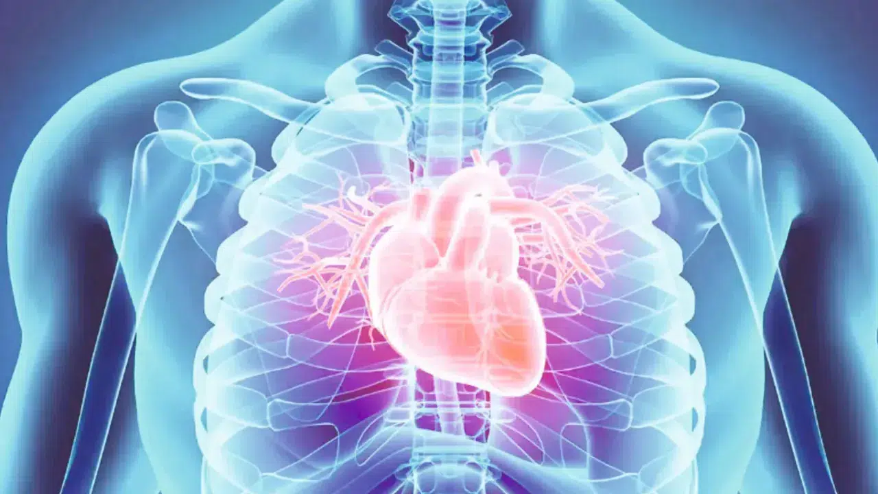 'Her yıl yaklaşık 20 milyon kişi kalp ve damar hastalıkları nedeniyle hayatını kaybediyor'