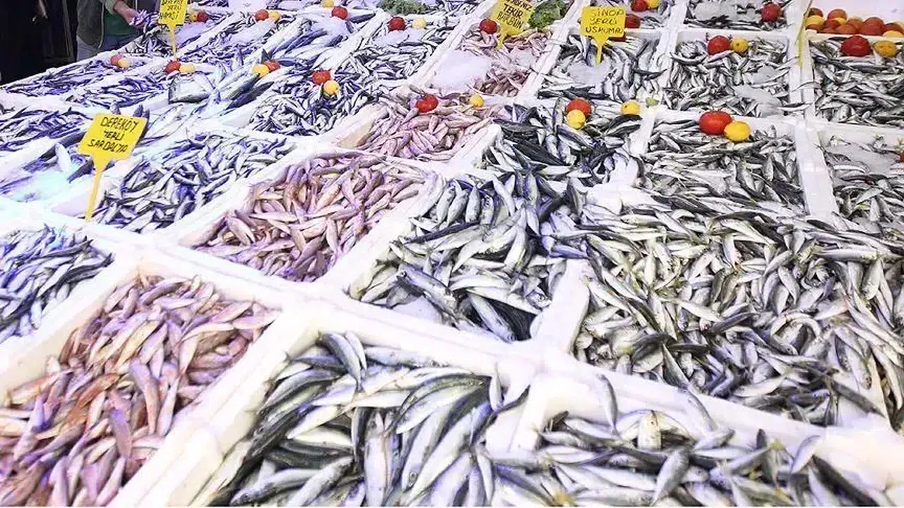 'Balık bitti, fiyatlar uçacak' deniyordu : Tezgahlarda şaşırtan görüntü