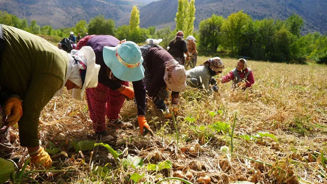 Çiftçilere müjde ! Tarım yatırımlarına %70 hibe desteği geliyor