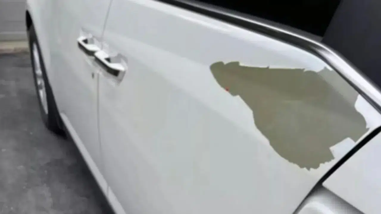 Honda'da beyaz boya krizi : Mahkeme soyulmaları yapısal sorun olarak kabul etti