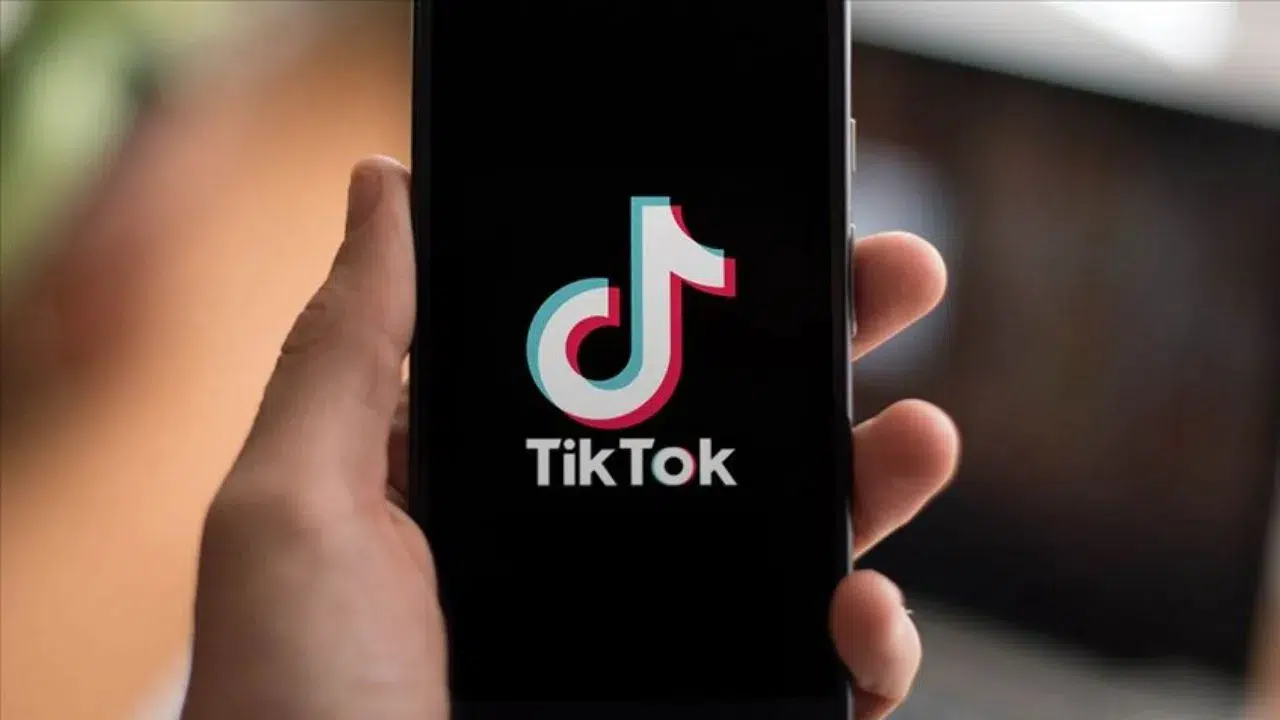 TikTok'ta elinde bıçakla dehşet saçtı : 'Türbanlı annenizin kafasını keserim'