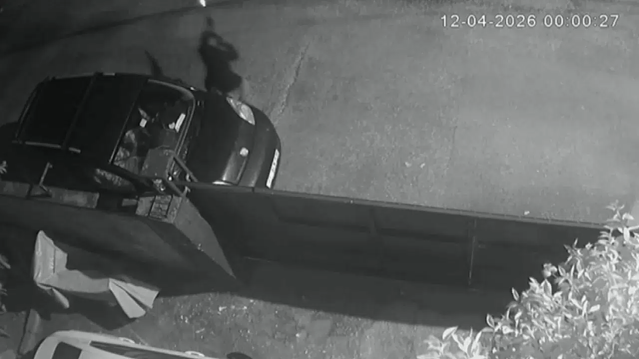 Adana Seyhan'da kasklı saldırgan dehşeti : Eve tüfekle kurşun yağdırdı