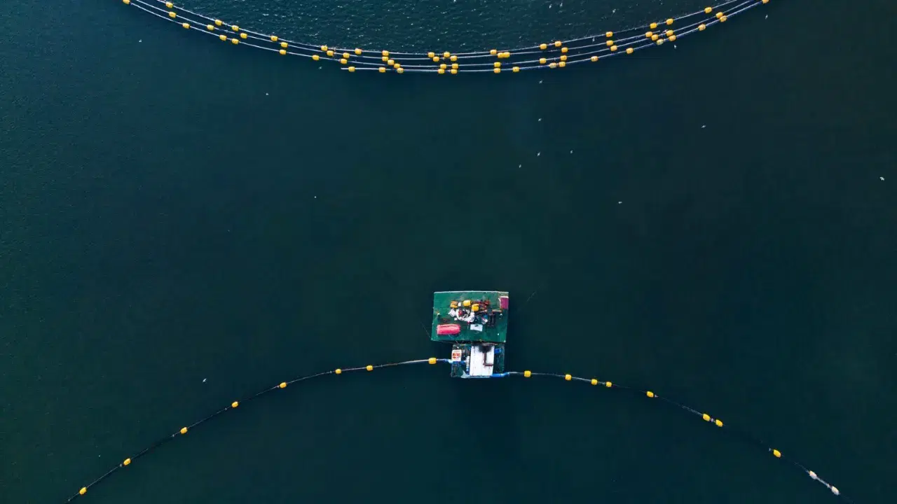 İzmit'te 'Dip Çamuru Projesi' : Su sirkülasyonu yeniden sağladı