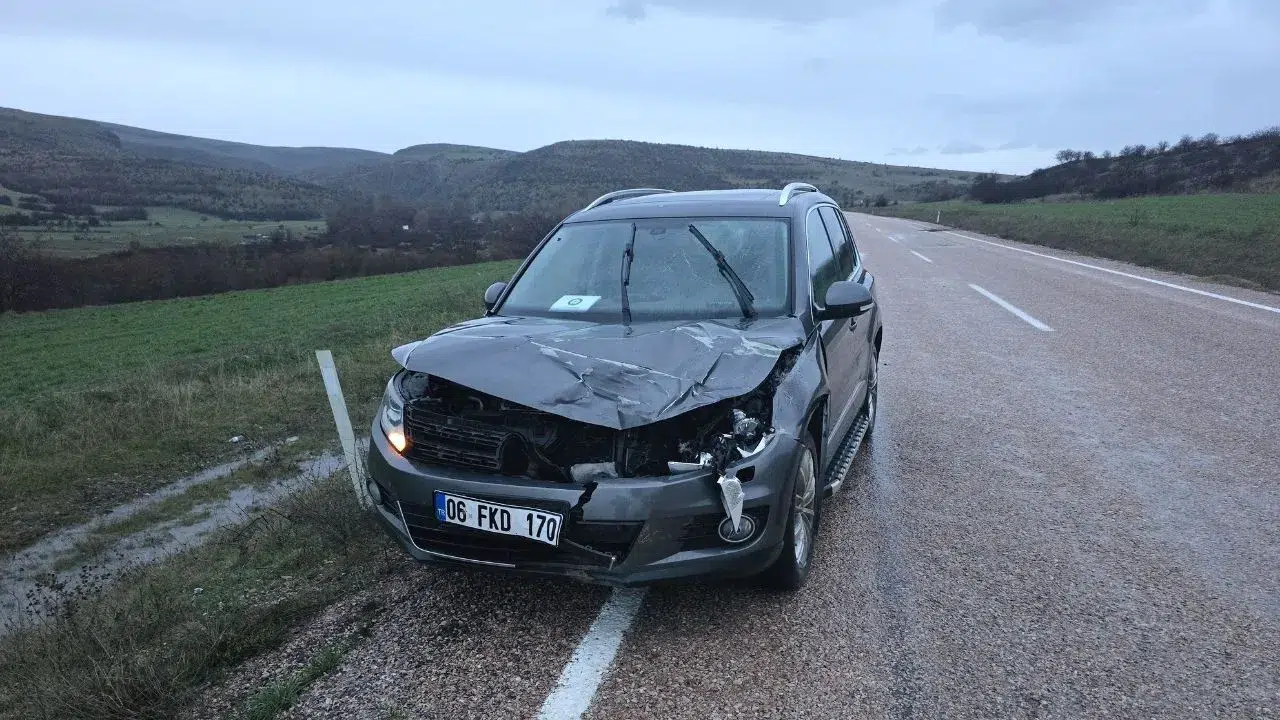 Ankara Beypazarı'nda otomobil geyiğe çarptı