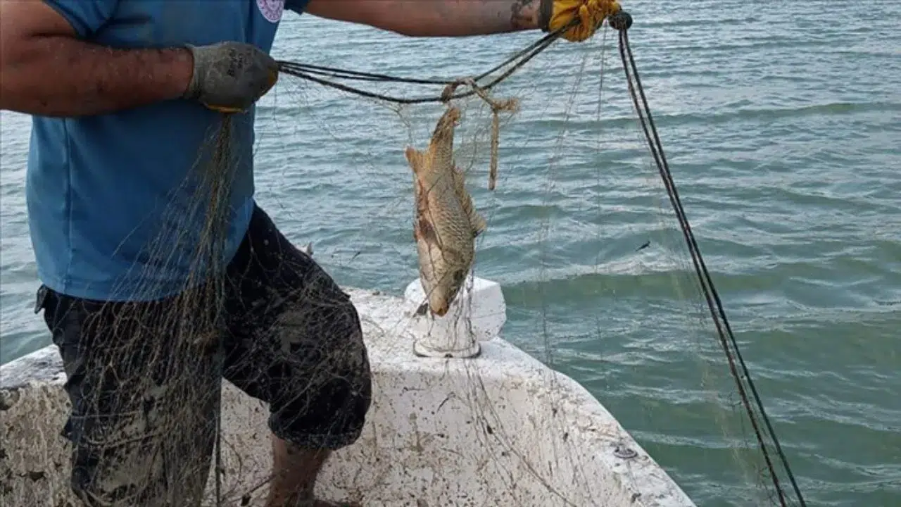 Isparta'da kaçak avcılık operasyonu : 7 çuval ağ ele geçirildi