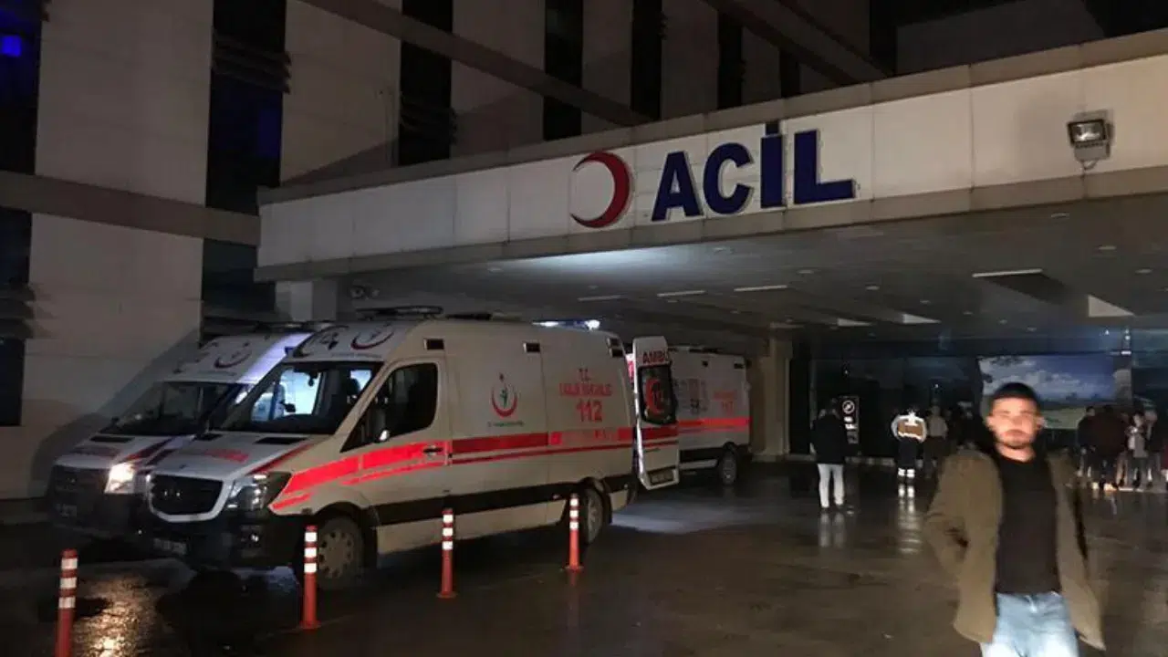 Düzce'de bir şahıs kestiği ağacın altında kalıp yaralandı