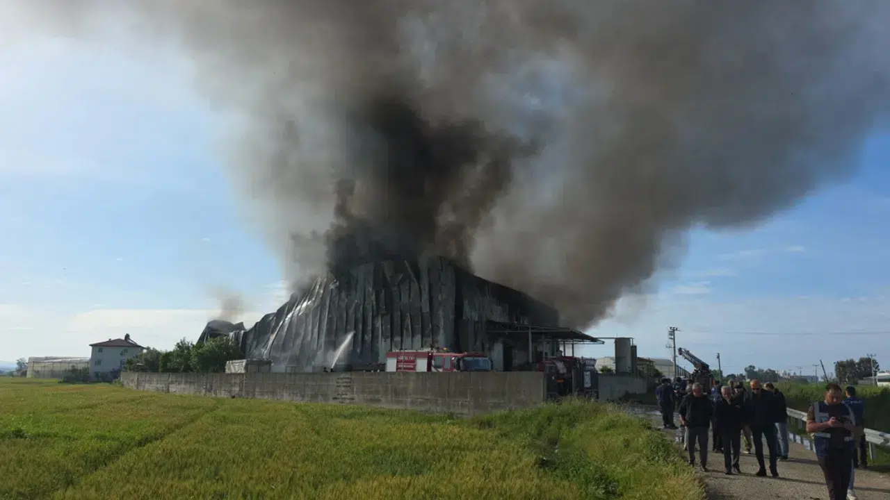 Antalya’da fabrika yangını : Cips üretim tesisi küle döndü