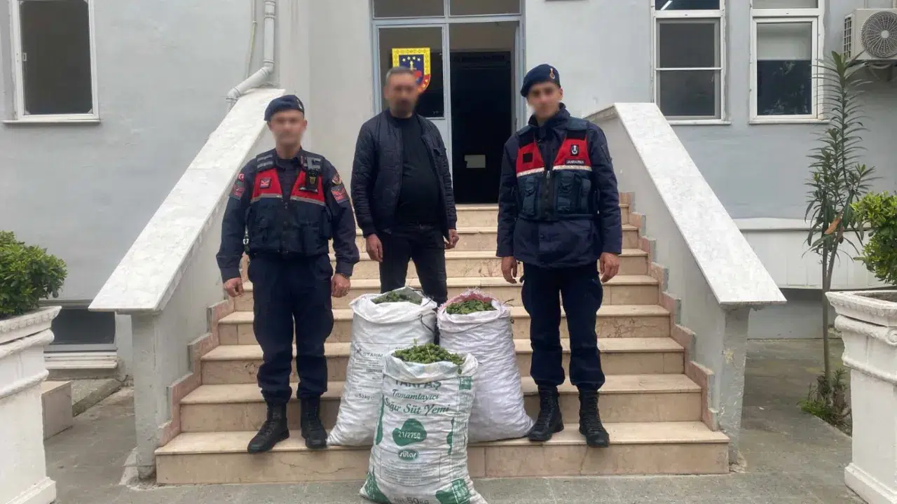 Aydın Germencik'te incir hırsızı suçüstü yakalandı