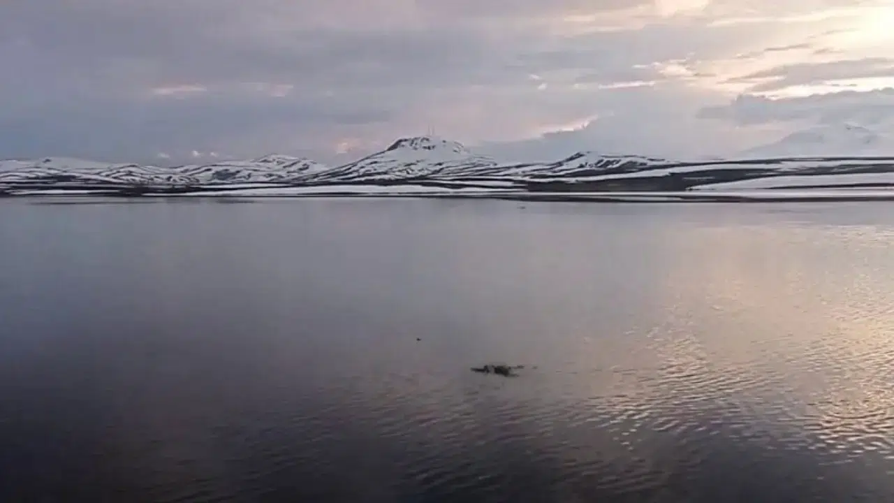 Karlar eridi, Aras Nehri coştu