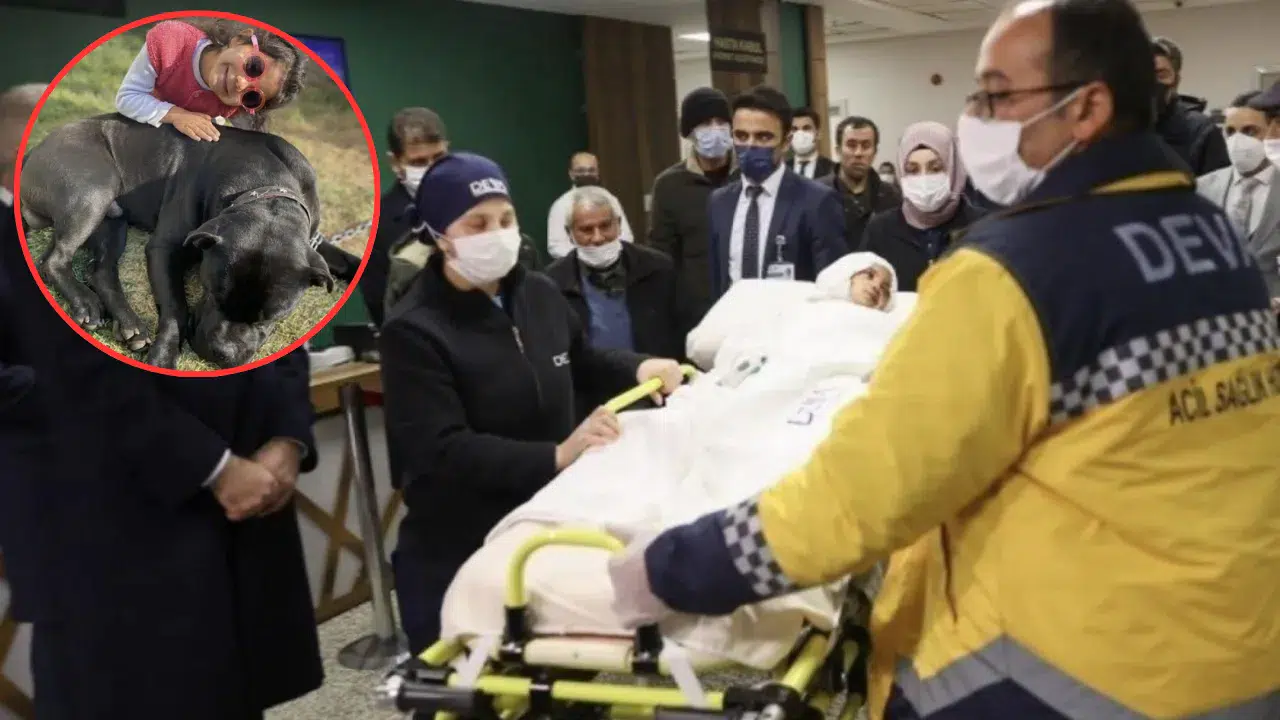 Gaziantep'te pitbull saldırısına uğrayan 4 yaşındaki Asiye davasında karar açıklandı