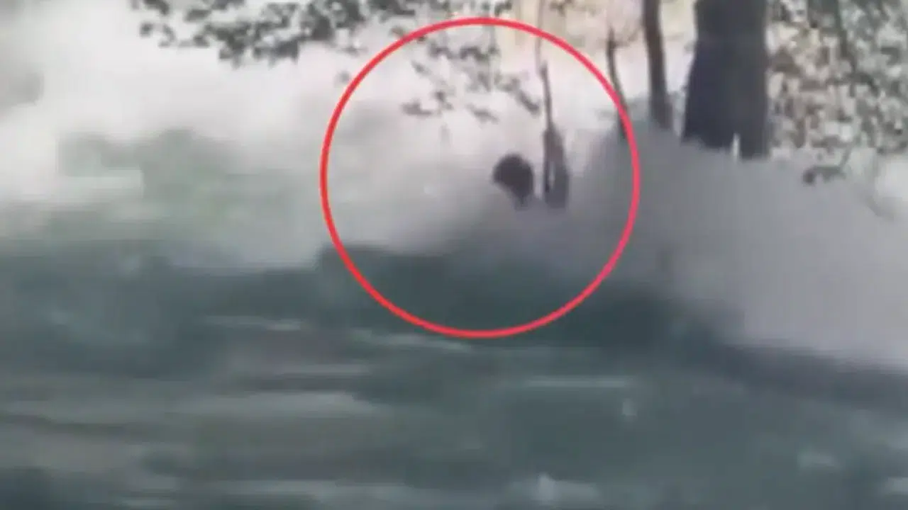 Tarsus Şelalesi'nde kaybolan Kerem Batu Kaplan 3 gündür aranıyor