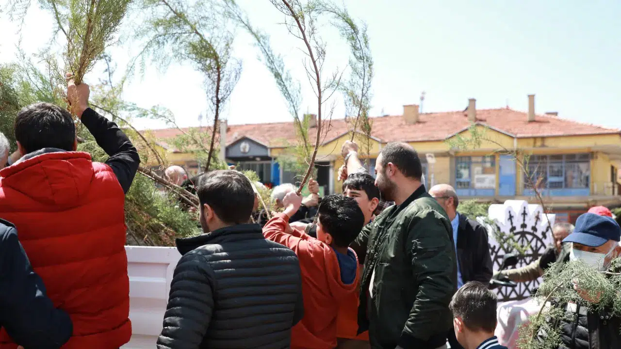 Alaca Belediyesi'nde vatandaşlara 2 bin fidan dağıtıldı