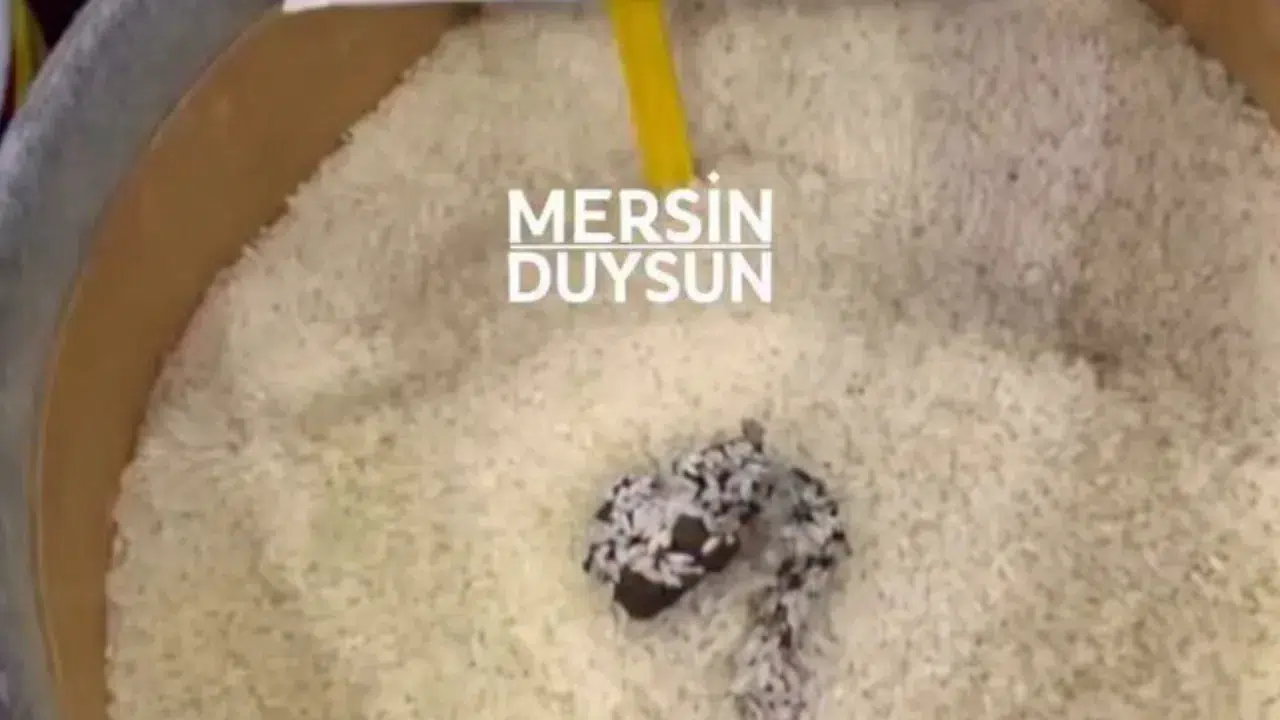 Mersin'de markete ceza : Pirincin üzerinde kedi dışkısı görüldü