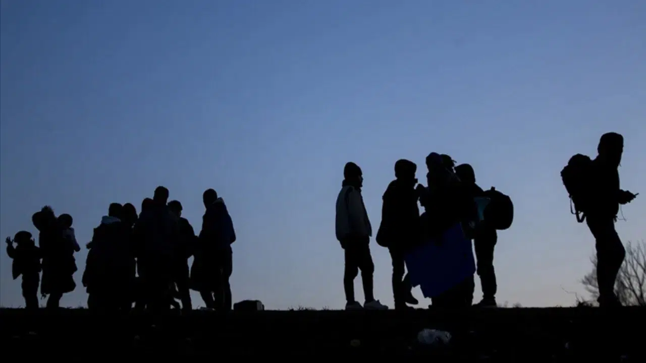 Edirne'de göçmen operasyonu : 21 düzensiz göçmen yakalandı