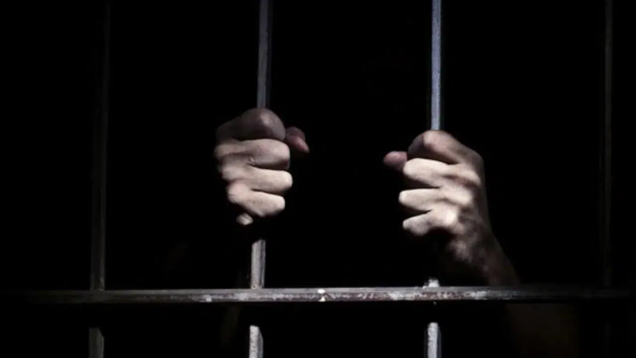 Bodrum'da okul baskınındaki saldırganı öven şahıs tutuklandı