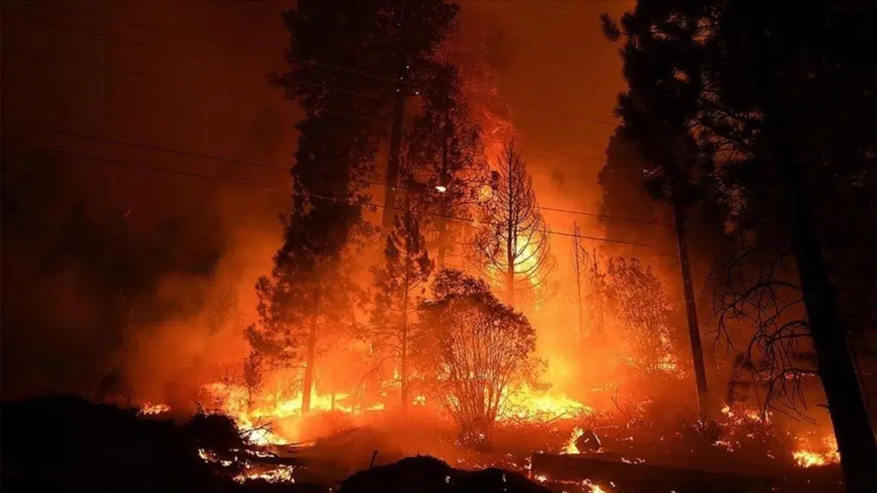 ABD'de orman yangını faciası : 54 ev küle döndü