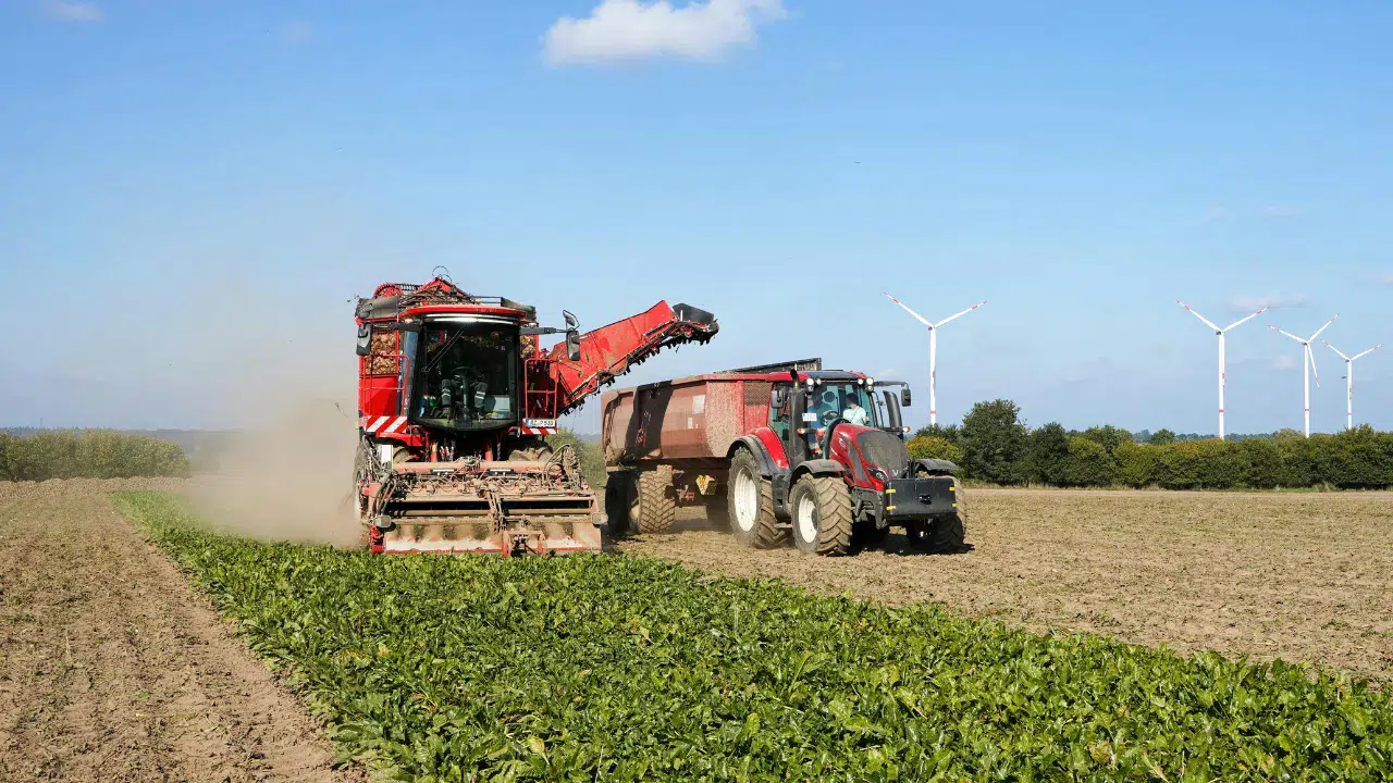 Tarım-ÜFE verileri açıklandı : Mart 2026’da yıllık…